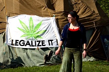 GLOBAL MARIHUANA MARCH 2008